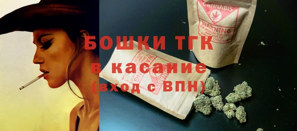 хмурый Арсеньев