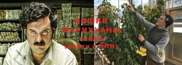 хмурый Арсеньев