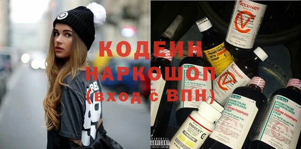 хмурый Арсеньев