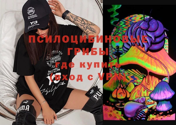 винт Аркадак