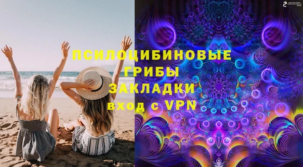 хмурый Арсеньев