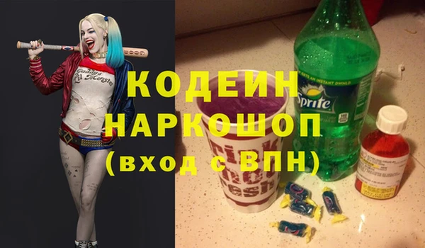 хмурый Арсеньев