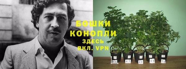 хмурый Арсеньев