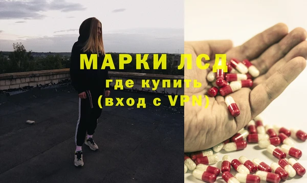 хмурый Арсеньев