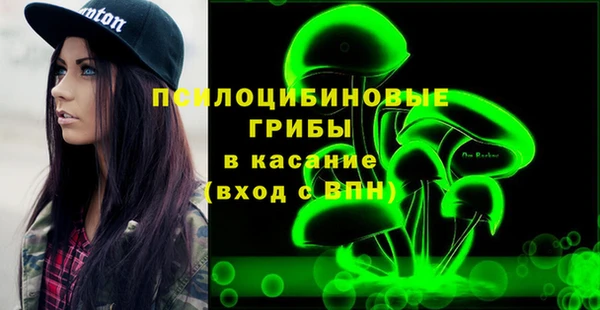 винт Аркадак