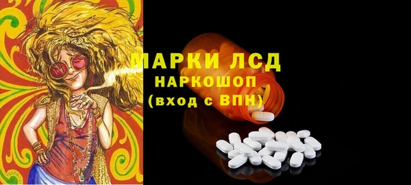 хмурый Арсеньев