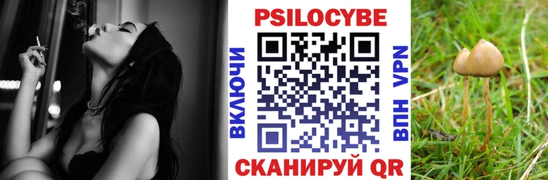 Галлюциногенные грибы мухоморы  купить наркоту  Аша 